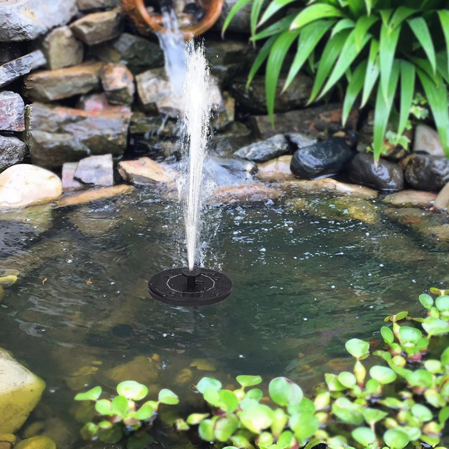 SOLARNA FONTANA